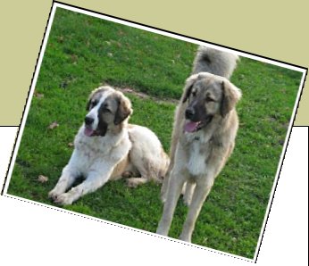 Bild : Barney und Hannes